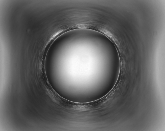 X0000087510297200704271127
