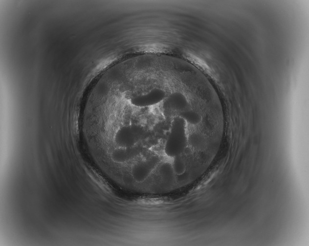 X0000087510299200704271127