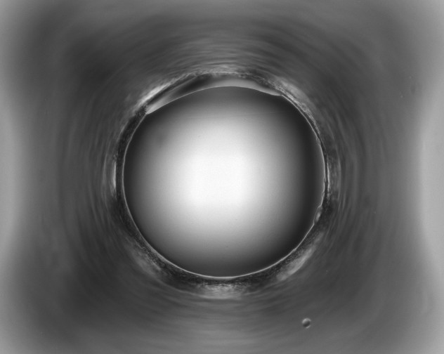 X0000087510301200704271127
