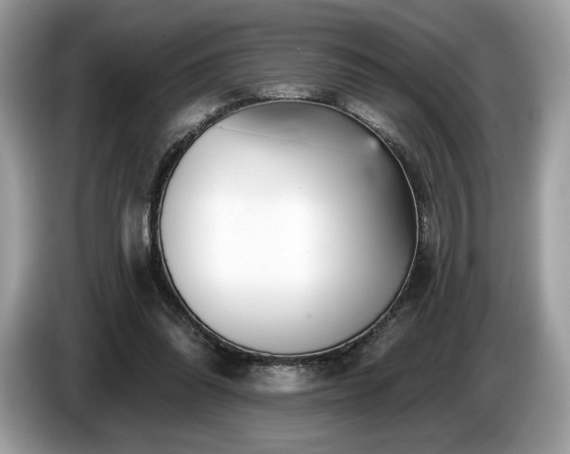 X0000087510302200704271127