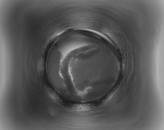 X0000087510303200704271127