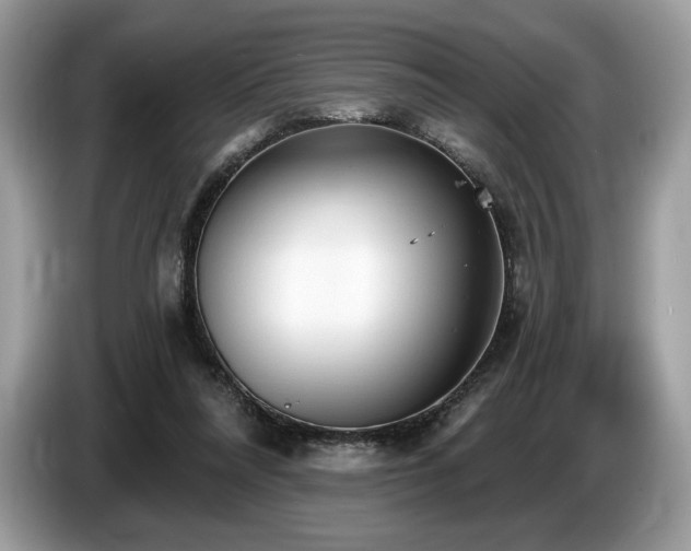 X0000087510304200704271127