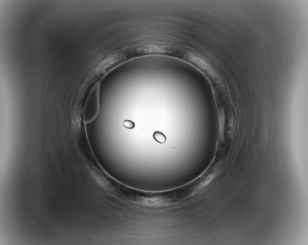 X0000087510309200704271127