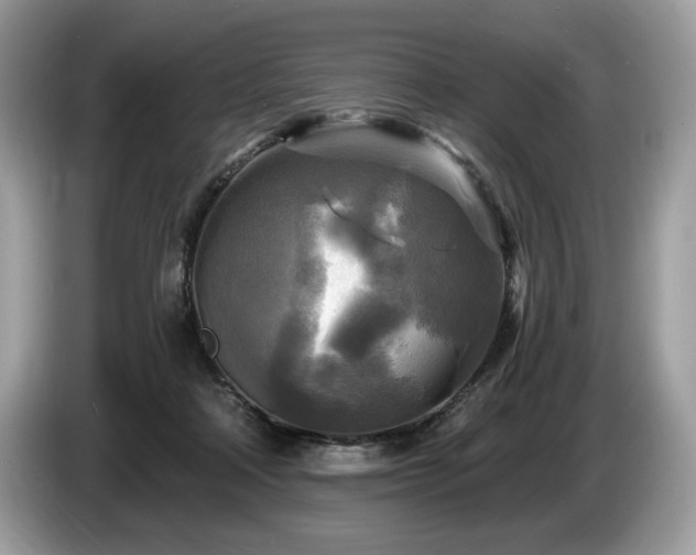 X0000087510314200704271127