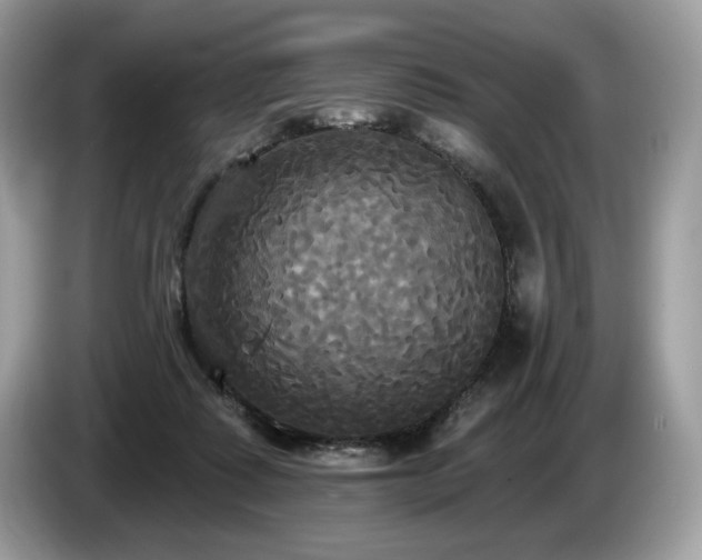 X0000087510315200704271127