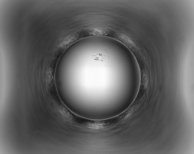 X0000087510318200704271127