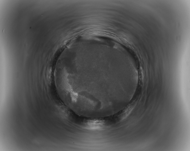 X0000087510319200704271127