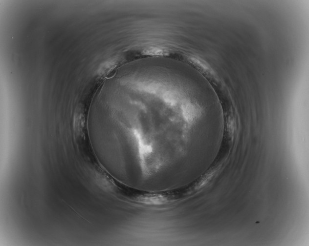X0000087510322200704271127