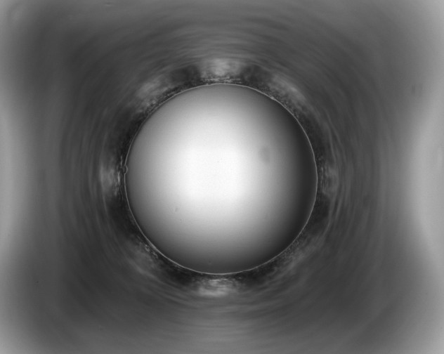 X0000087510324200704271127