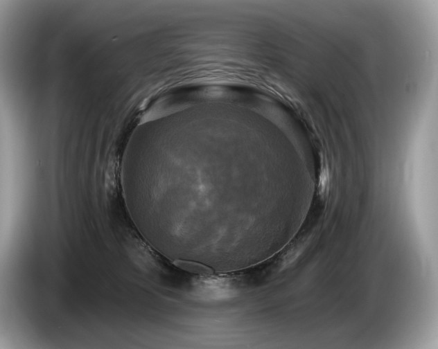 X0000087510325200704271127