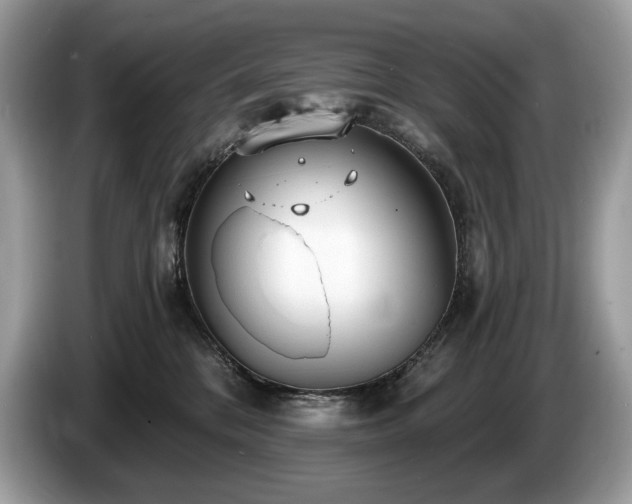 X0000087510328200704271127