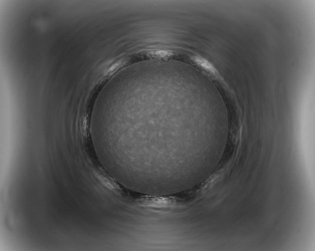 X0000087510330200704271127
