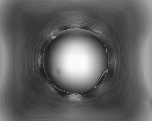X0000087510334200704271127