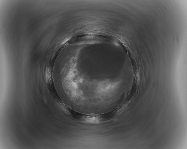 X0000087510335200704271127