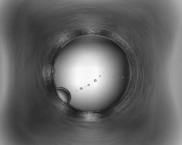 X0000087510336200704271127
