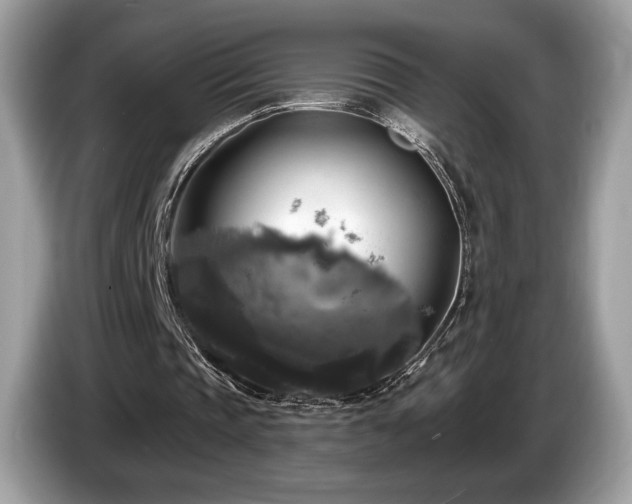 X0000087510337200704271126