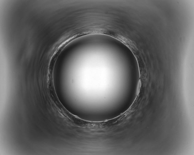 X0000087510338200704271126