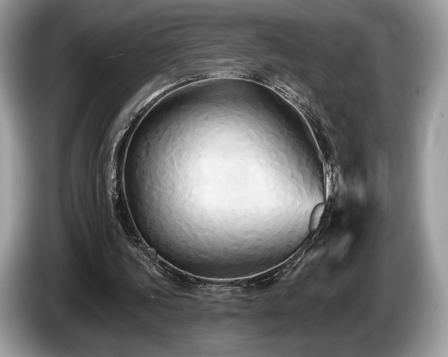 X0000087510339200704271126