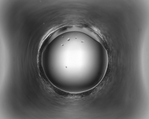 X0000087510340200704271126