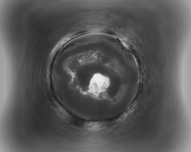 X0000087510341200704271126