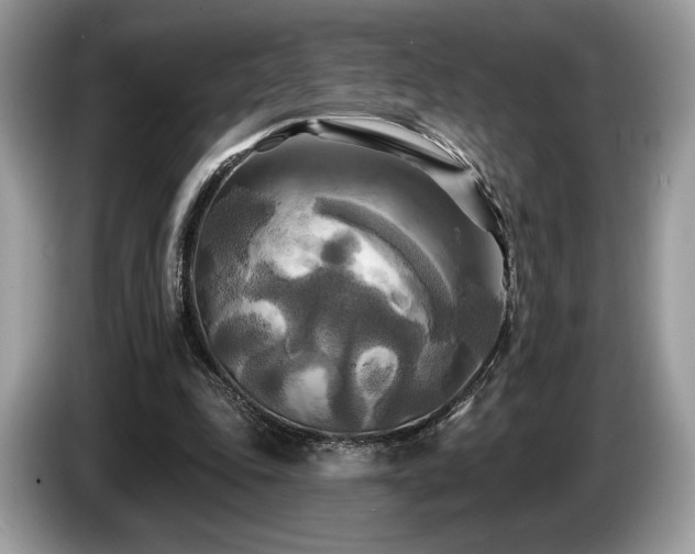 X0000087510343200704271126