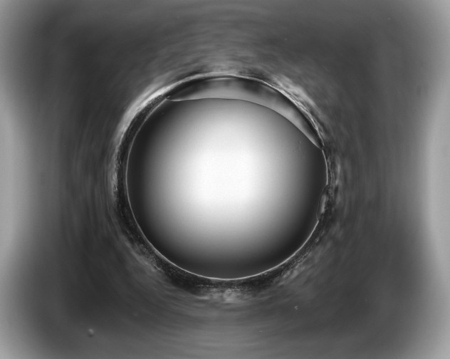 X0000087510344200704271126