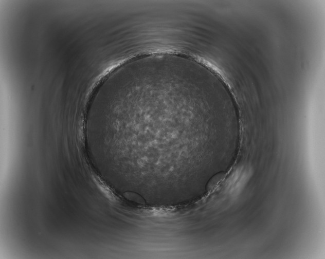 X0000087510345200704271126