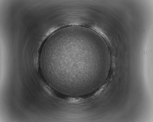 X0000087510346200704271126