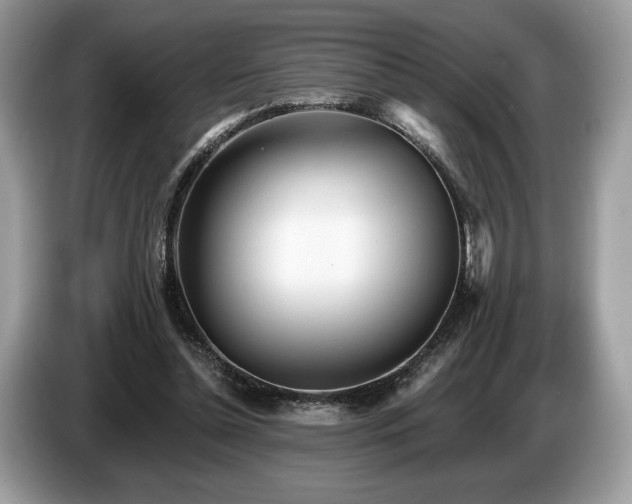 X0000087510348200704271126