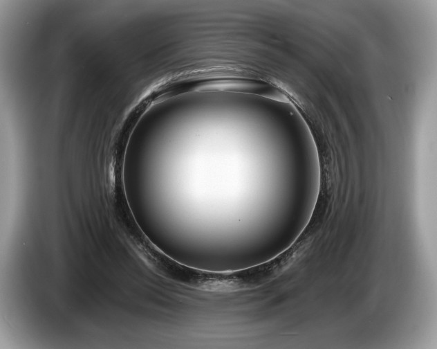 X0000087510350200704271126