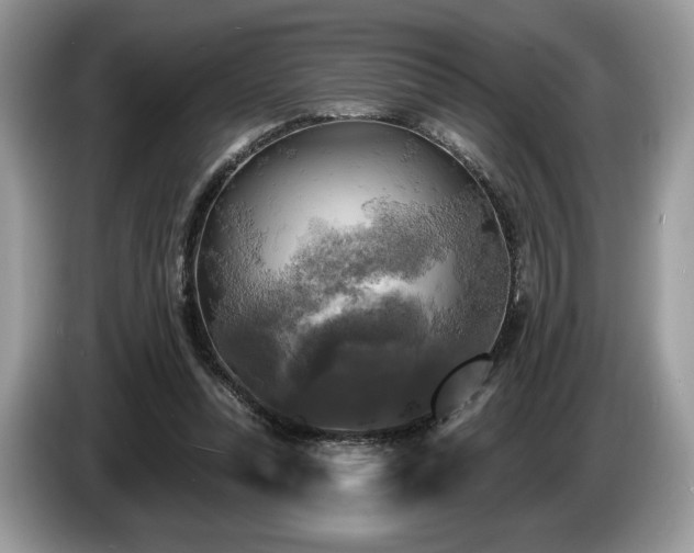 X0000087510351200704271126