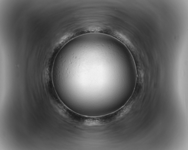 X0000087510354200704271127