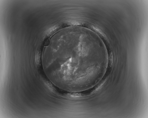X0000087510359200704271127
