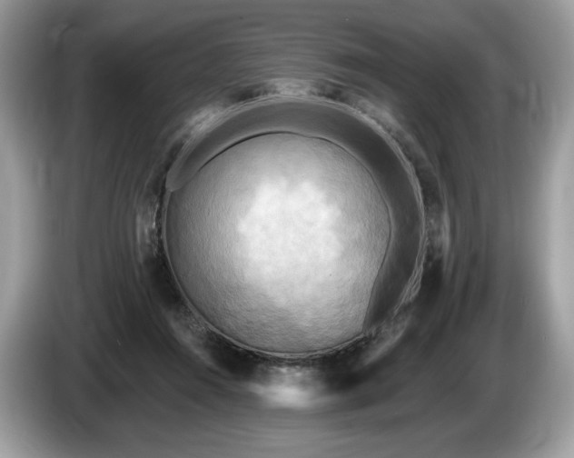 X0000087510360200704271127