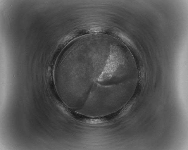 X0000087510361200704271127