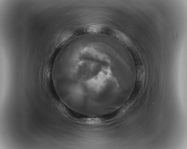 X0000087510363200704271127