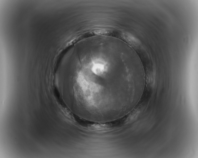 X0000087510367200704271127