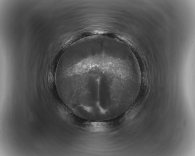 X0000087510371200704271127