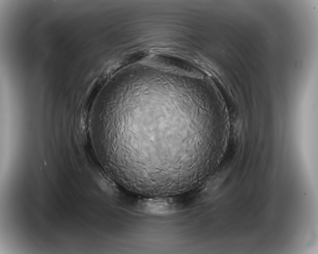 X0000087510373200704271127