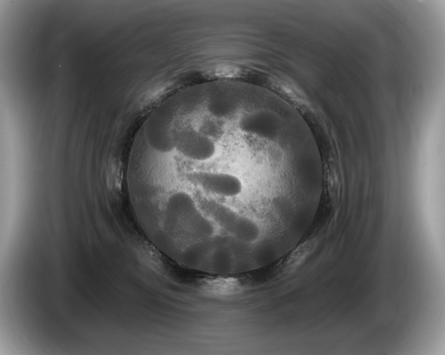 X0000087510374200704271127