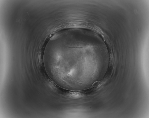 X0000087510377200704271127