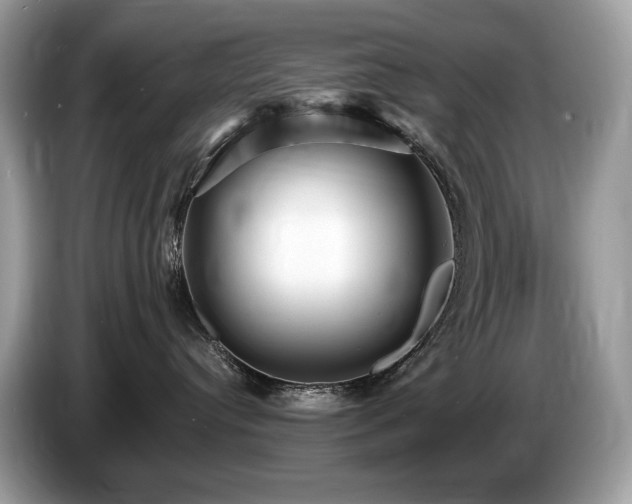 X0000087510384200704271127