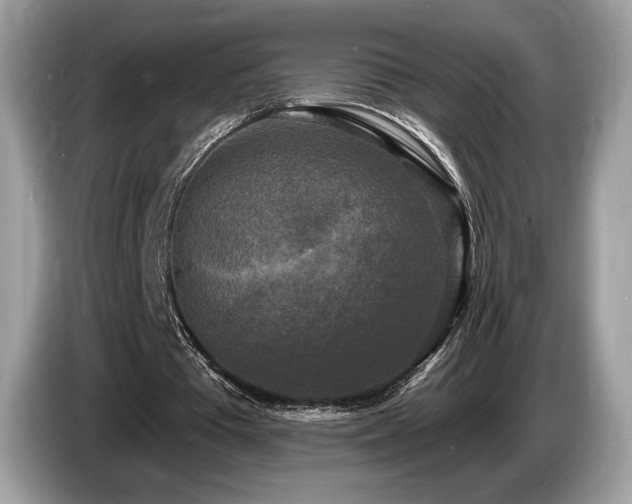X0000087510385200704271126