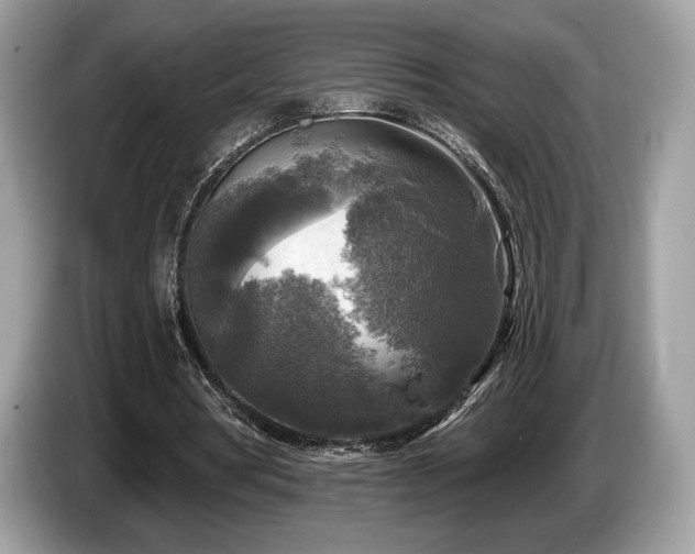 X0000087510386200704271126