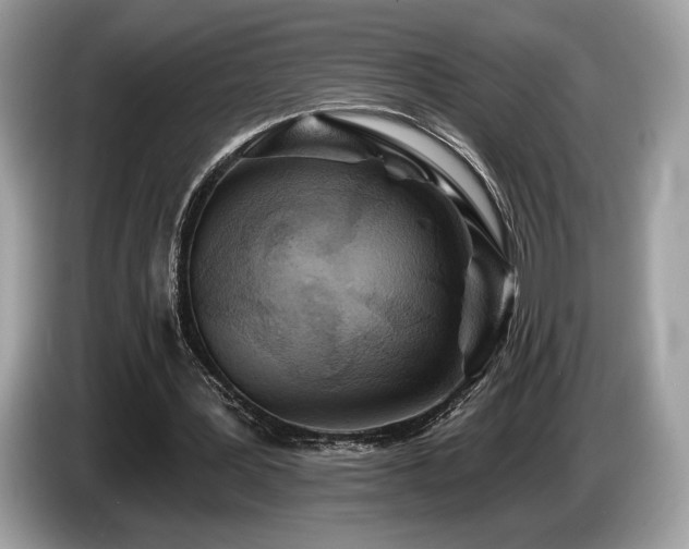 X0000087510387200704271126