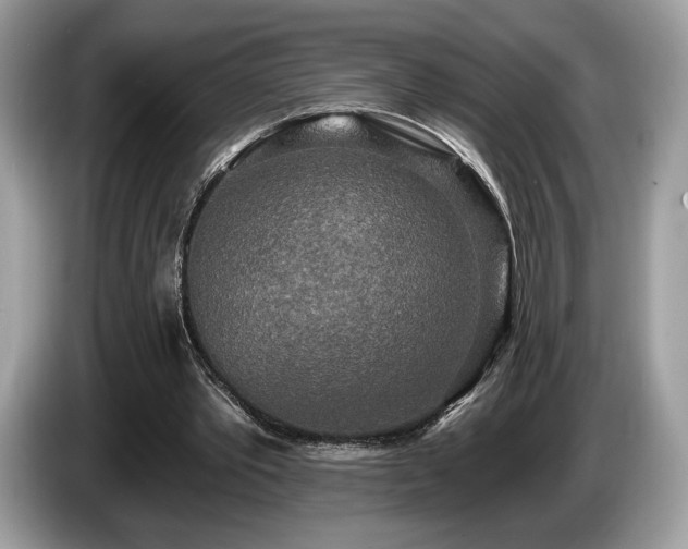 X0000087510389200704271126