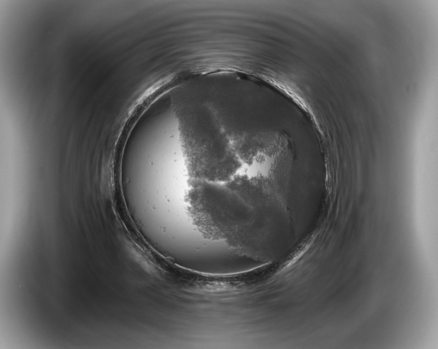 X0000087510390200704271126
