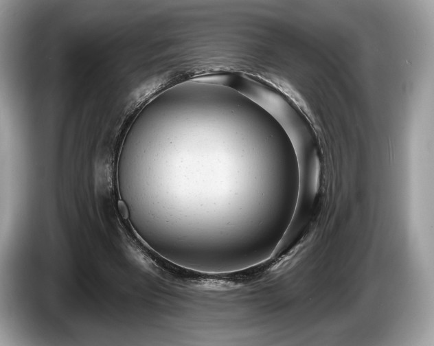X0000087510393200704271126
