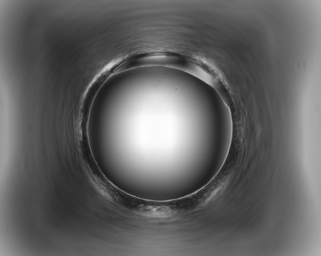 X0000087510395200704271126