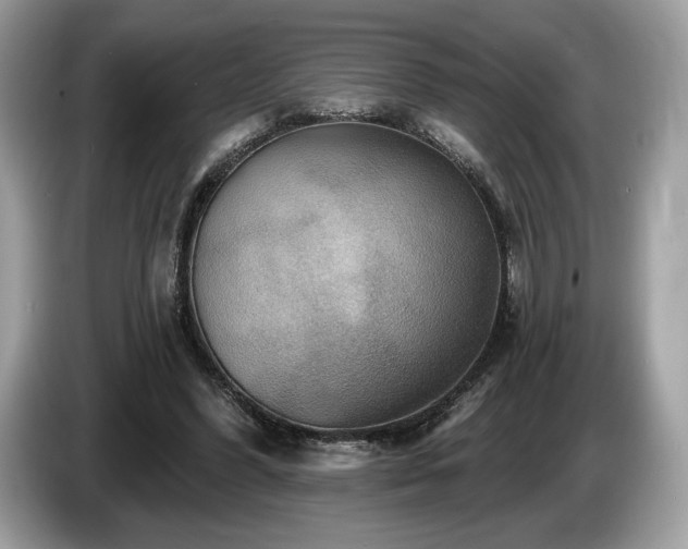 X0000087510396200704271126